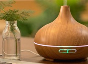 Sự Kết Hợp Hoàn Hảo Giữa Thảo Dược Và Máy Xông Tinh Dầu Cho Không Gian Sống