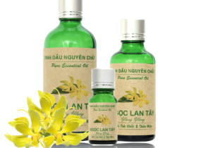 Cách Sử Dụng Tinh Dầu Đúng Cách Để Mang Lại Hiệu Quả Tối Ưu