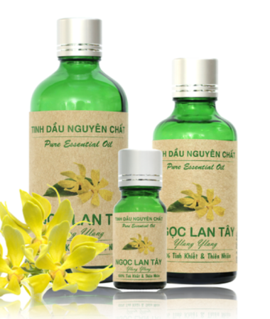 Cách Sử Dụng Tinh Dầu Đúng Cách Để Mang Lại Hiệu Quả Tối Ưu