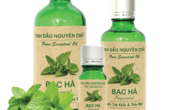 5 Công Dụng Tuyệt Vời Của Tinh Dầu Thiên Nhiên Đối Với Sức Khỏe Và Tinh Thần