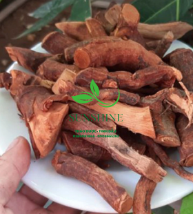 Cây Mú Từn