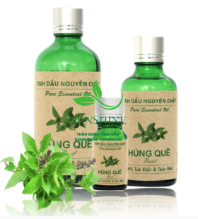 Tinh Dầu Húng Quế