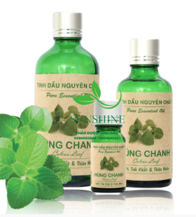 Tinh Dầu Húng Chanh