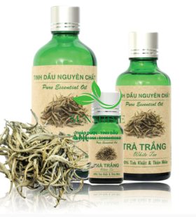 Tinh Dầu Trà Trắng