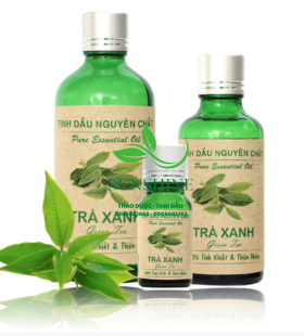 Tinh Dầu Trà Xanh