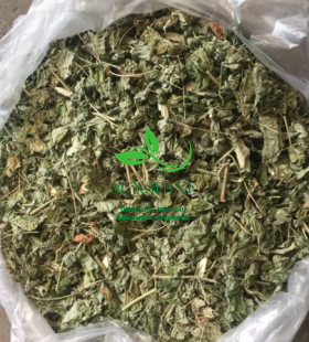 Cối Xay