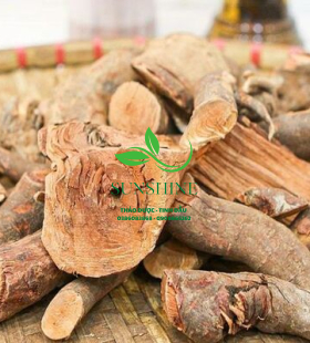Dược Liệu Quý Cây Mú Từu