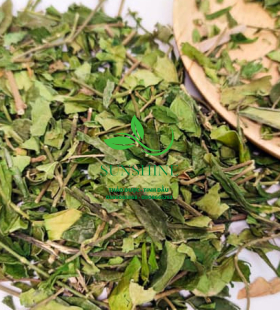 Cây Thìa Canh