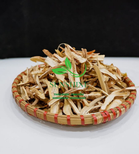  Sâm Cau Đỏ
