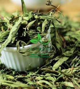 Cỏ Ngọt