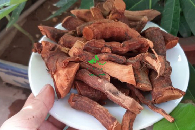 Cây Mú Từn