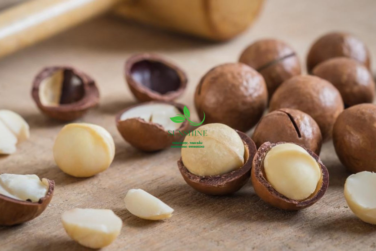 Hạt mắc ca