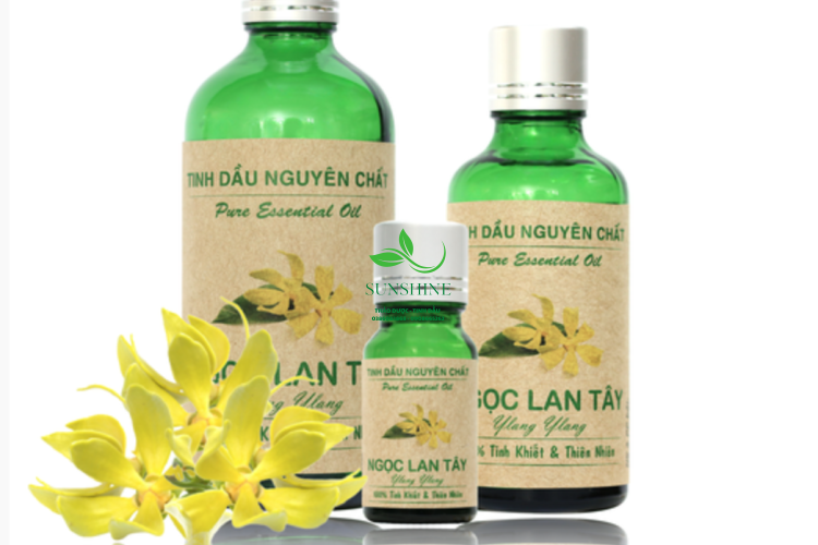 Tinh Dầu Ngọc Lan Tây