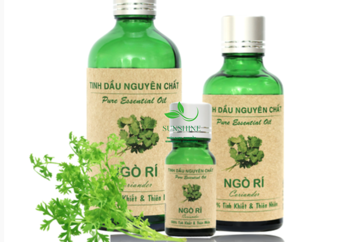 Tinh Dầu Ngò Rí