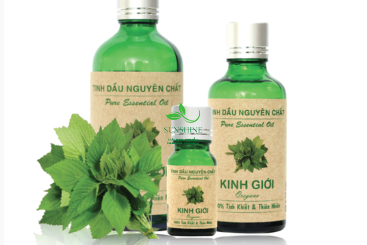 Tinh Dầu Kinh Giới