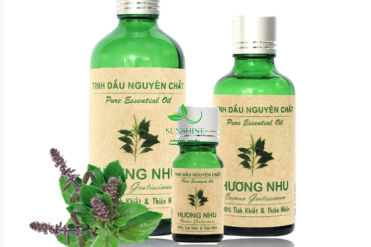 Tinh Dầu Hương Nhu
