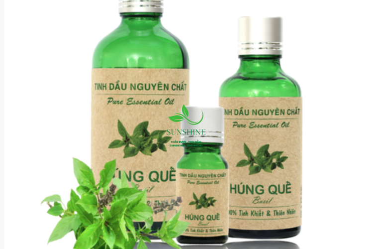 Tinh Dầu Húng Quế