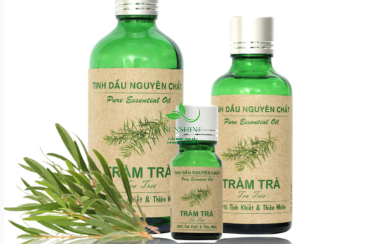 Tinh Dầu Tràm Trà