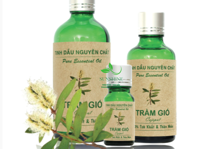 Tinh Dầu Tràm Gió