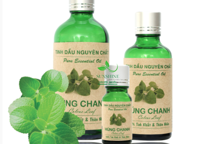 Tinh Dầu Húng Chanh