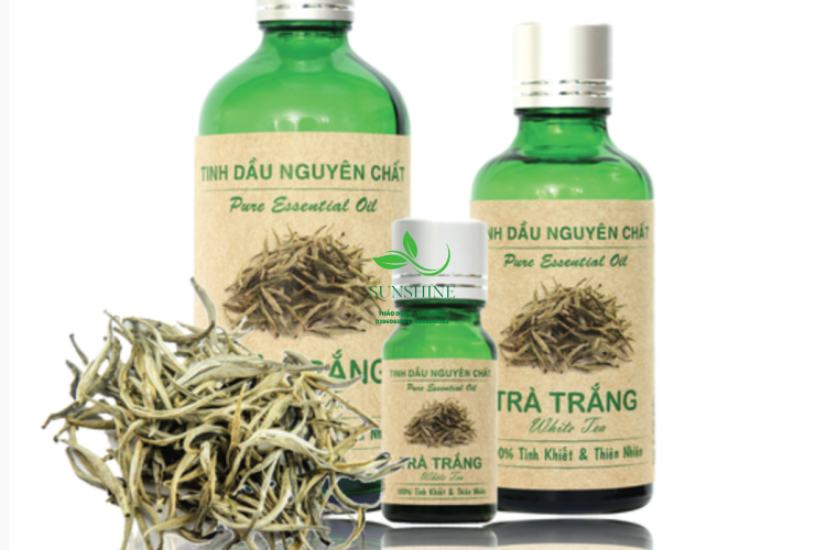 Tinh Dầu Trà Trắng