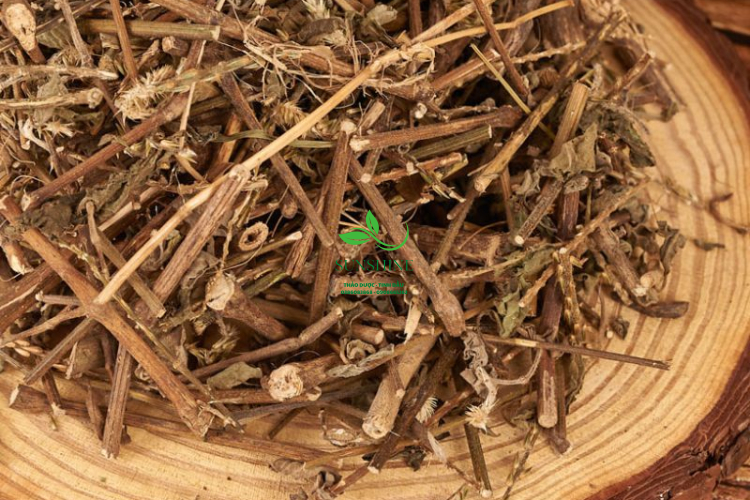 Cỏ Xước