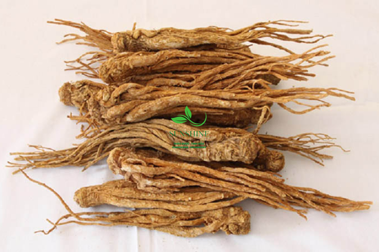 Sâm Đương Quy