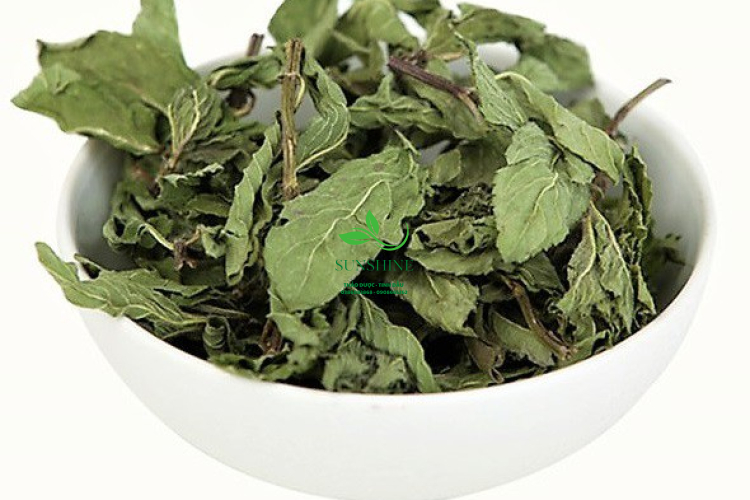 Lá Bạc Hà