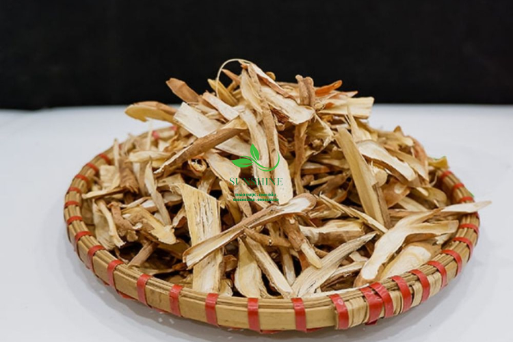  Sâm Cau Đỏ