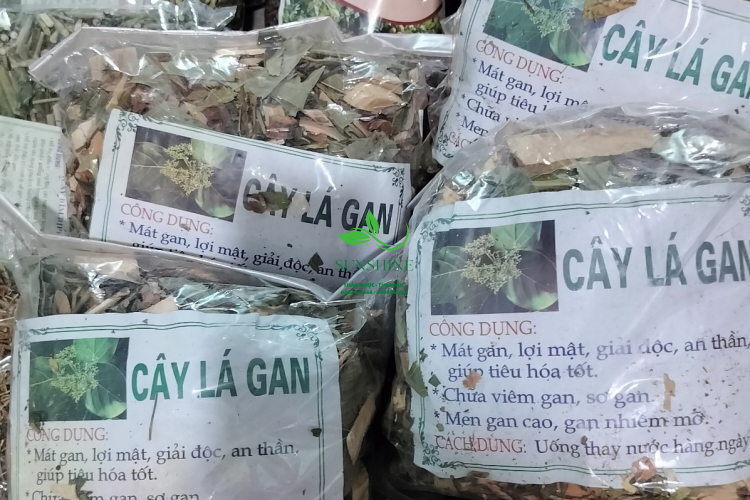 Cây Lá Gan